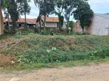 202505081512308299.jpeg · Terreno para Venda em Barra Velha, AÇORIANOS