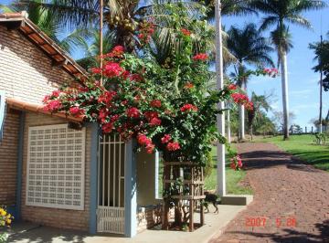 Rural de 2 quartos, São Simão · Rancho à venda em São Simão – GO
