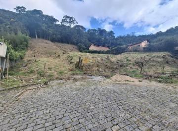 202603052256365555.jpg · Terreno para Venda em Teresópolis, Carlos Guinle