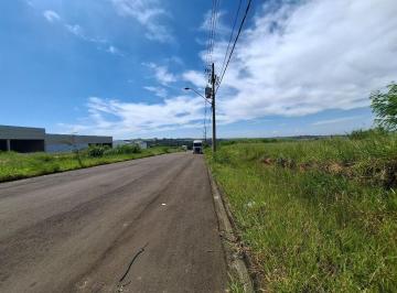6b8e0cb999b3f453269d5caf011a8223b81ed3f4 · Terreno para alugar, 750 m² - Vila Bertini - Americana/SP