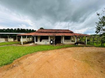ae3287a4be22ecb790d5f9a9026823d3dd99acdf · Fazenda em Goianá a venda com 75 hectares - Alta produção de Silagem além de excelente para pecuária