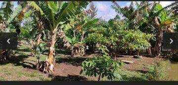 4f25211e16099c29c75f8e790dbfc7dd00019a3f · Chácara com 4 dormitórios à venda, 3000 m² por R$ 550.000 - Sagrado  Coração  de Jesus - Juiz de For