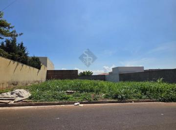 Terreno · 500m² · Terrenos LoteTerreno em Sertãozinho
