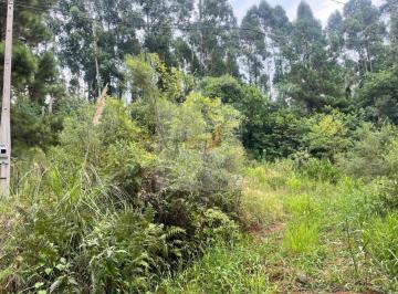 Foto 01 · Terreno, Piá, Nova Petrópolis, RS