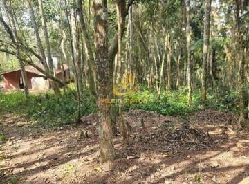 | Foto_migracao | 0 · Terreno à venda - em Mombaça