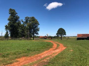 Rural de 5 quartos, Dourados · VENDO FAZENDA 1100 HECTARES REGIAO DE DOURADOS ( 6242 )