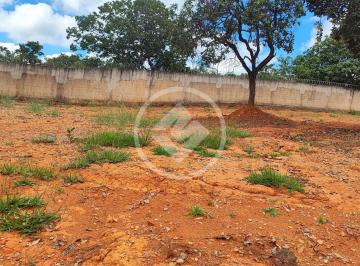 IMG_20260305_095839.jpg · LOTE 2 EM CONDOMÍNIO FECHADO - LAGOA SANTA (MG) - MY BROKER