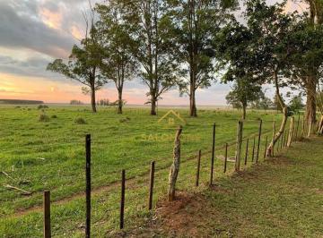 Imagem 1 · Fazenda