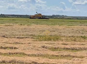 Imagem 1 · Fazenda
