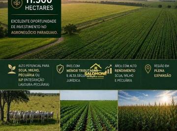 Imagem 1 · Fazenda