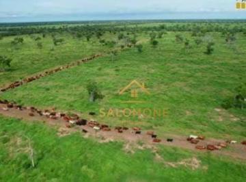 Imagem 1 · Fazenda
