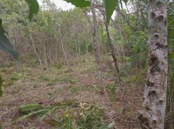 Foto 01 · TERRENO 5.130m² - PEQUENA VISTA PARA REPRESA - CONDOMÍNIO RECANTO DOS PÁSSAROS - REPRESA DE IGARATÁ/