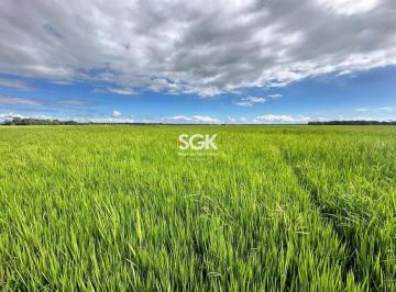 Rural · 200800m² · Sítio à Venda em Araquari com 20,08 Hectares – Área Plana para Cultivo de Arroz