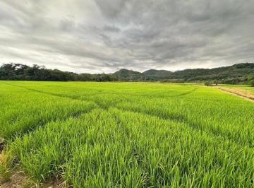 Foto 01 · Sítio Produtivo com 14,8 Hectares no Vila Nova – Área Plana e Irrigada em Joinville