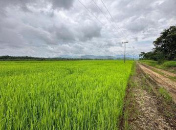Foto 01 · Propriedade Rural Produtiva com 44 Hectares no Vila Nova – Localidade Dedo Grosso | Joinville/SC