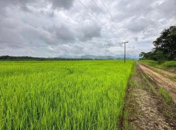 Foto 01 · Propriedade Rural Produtiva com 44 Hectares no Vila Nova – Localidade Dedo Grosso | Joinville/SC