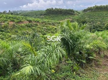 Rural · 118000m² · Sítio Produtivo com 11,8 ha em Santa Cruz – São João do Itaperiú/SC | Pupunha em Produção e Grande P