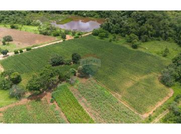 Rural · 210000m² · 5 Quartos · Chácara 21 Hectares em Cidade Ocidental/GO 15 km do condomínio AlphaVille