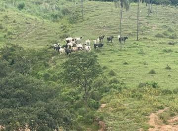 Rural , Unaí · Fazenda com 195,9766 hectares em Unaí/MG – estrutura, água e grande potencial produtivo