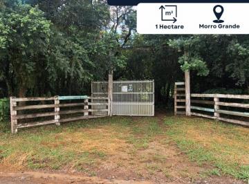 Foto 01 · Chácara/sítio/fazenda, Morro Grande, Santo Antônio da Patrulha, RS