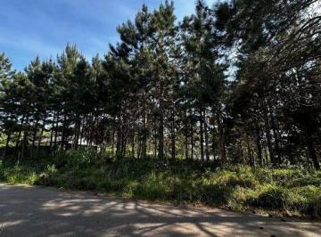 4aca4976dd95dbbe3c2a4fd35d637686ec119ce5 · Terreno à venda, 3001 m² por R$ 850.000,00 - Parque das Nascentes - Pinhais/PR