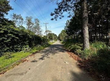29e64e93ab0fef3e7bd8c10c06f0c4c09bfb8dd4 · Terreno à venda, 3001 m² por R$ 850.000,00 - Parque Das Nascentes - Pinhais/PR