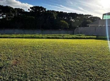 05d9cb051149a6e052858caa9b0075672a703ec6 · Terreno à venda, 742 m² por R$ 2.200.000,00 - Alphaville Graciosa - Pinhais/PR