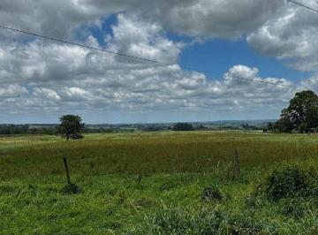 27c0a4d798345016ae482af6ee4fd8594150340a · Área à venda, 170328 m²  - Zona Rural - Palmeira/PR