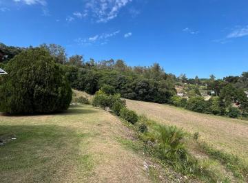 Terreno · 
                                Área de terra na linha alencastro
                            