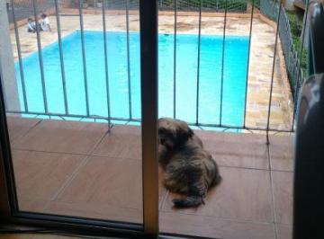 venda-2-dormitorios-campo-grande-sao-paulo-1-9636307.jpeg · Imoveis - no Campo Grande