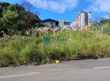 25077320_4.jpg · TERRENO NO BAIRRO DESVIO RIZZO com 322m²
