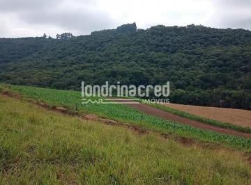 Rural · 132m² · 2 Quartos · Chácara em Gleba 01, Tamarana/PR de 132m² 2 quartos à venda por R$ 650.000,00