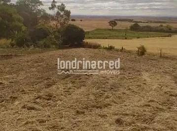Terreno · 10m² · Terreno em Centro, Londrina/PR de 10m² à venda por R$ 189.000,00