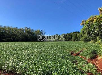Terreno · 10m² · Terreno em Centro, Londrina/PR de 10m² à venda por R$ 324.900,00