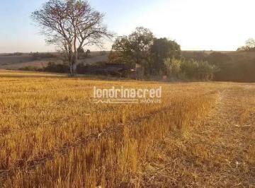 Terreno · 40000m² · Terreno em , Ibiporã/PR de 40000m² à venda por R$ 1.060.000,00