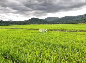 Rural · 352500m² · Sítio Produtivo para Cultivo de Arroz com 35,25 Hectares no Vila Nova