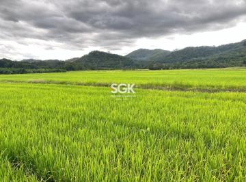 Rural · 352500m² · Sítio Produtivo para Cultivo de Arroz com 35,25 Hectares no Vila Nova