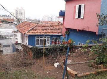 7761a7668603948f8c42f0fede0c083253133872 · terreno jardim do papai