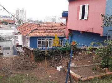 ed3c45efa40140a746f1e6292d1cbda91279336f · terreno jardim do papai