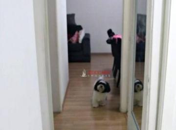 bd4f19d79c56550348c73e3abd54f840b7e77577 · Apartamento à venda, 64 m² por R$ 530.000,00 - Gopoúva - Guarulhos/SP