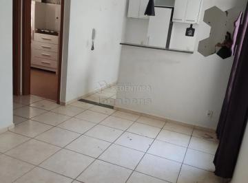 Apartamento · 55m² · 2 Quartos · 1 Vaga · Apartamento Padrão em São José do Rio Preto