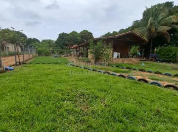 Rural · 1000m² · 2 Quartos · Venda - Chácara em Adolfo