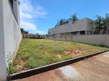 Comercial · 525m² · Jardim Redentor Terreno de 525 mts2 plano.