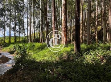 Rural · 8470ha · Sítio Produtivo com 7,5 ha de Eucalipto Pronto para Corte em São Luiz