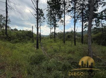 Terreno · 315m² · Terreno à venda em Terra Preta – Vista para a natureza