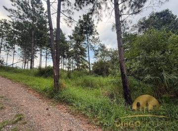 Terreno · 629m² · Terreno de Esquina à Venda em Terra Preta – Vista para a Natureza