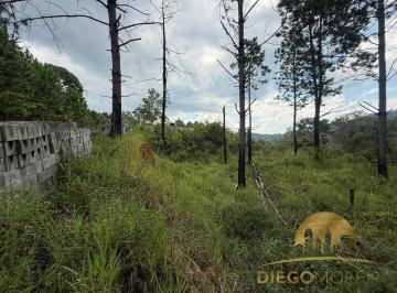 Terreno · 304m² · TERRENO À VENDA PLANO COM VISTA PARA A NATUREZA