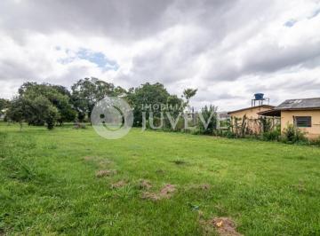 19277010200.jpg · IMOBILIARIA JUVEVE VENDE TERRENO SÃO JOSÉ DOS PINHAIS GUATUPE SEBASTIAO LEONILDO FONTANA, 461 MEDIND