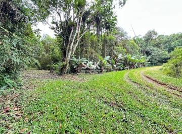 Rural · 92000m² · Sítio à Venda na Estrada Dedo Grosso – 9,2 Hectares com Lagos e Plantio de Pupunha | Vila Nova – Joi