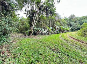 Rural · 92000m² · Sítio à Venda na Estrada Dedo Grosso – 9,2 Hectares com Lagos e Plantio de Pupunha | Vila Nova – Joi